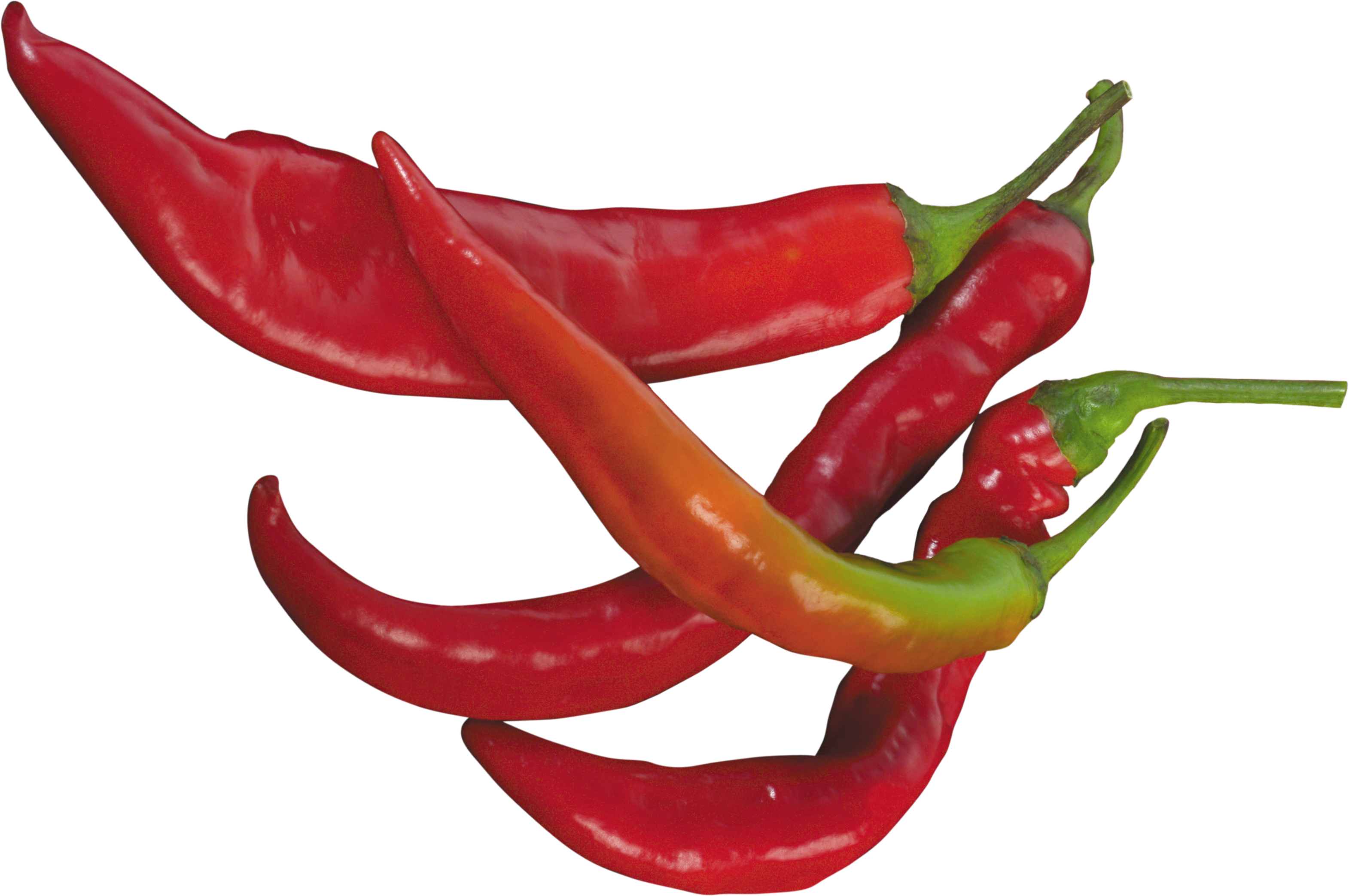 Chillis and Spices